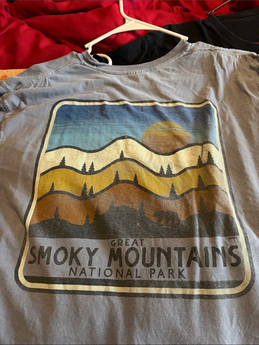 Smoky Mountains Graphic Tee - Blue with Earth Tones